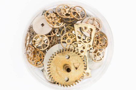 Photo for Timeless Precision: A Watchmaker's Artistry in Action - Royalty Free Image