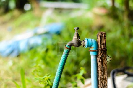 Téléchargez les photos : Robinet d'eau dans le jardin, robinet d'eau pour industriel - en image libre de droit