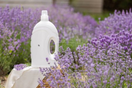 Photo for Fabric softener with lavender scent. Fragrance in a field with purple flowers - Royalty Free Image