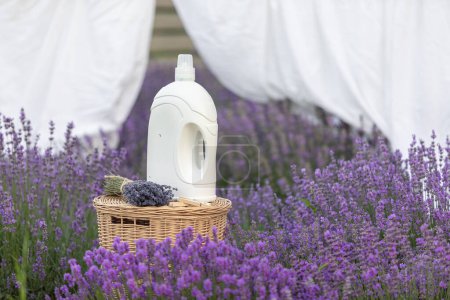 Photo for Fabric softener with lavender scent. Fragrance in a field with purple flowers - Royalty Free Image