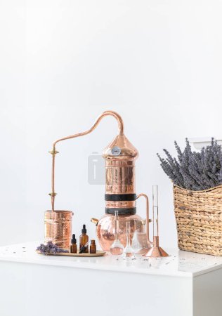 Distillation d'huile essentielle de lavande. Alambic de cuivre dans un intérieur scandinave