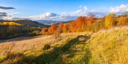 Photo for Fantastic autumn afternoon in carpathians. iconic picture of transcarpathia with pikui peak in the distance. superb evening landscape of ukrainian countryside. traveling concept background - Royalty Free Image