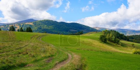 Téléchargez les photos : Mountainous countryside scenery in early autumn. grassy rolling hills with some deciduous trees in dappled light. beautiful nature landscape with distant ridge beneath a sky heavy clouds - en image libre de droit