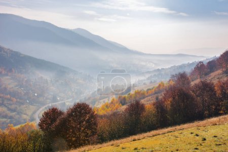 Téléchargez les photos : Lever de soleil d'automne brumeux dans les montagnes. décor avec des arbres colorés sur les collines herbeuses dans la lumière du matin. paysage roulant dans la vallée lointaine pleine de brouillard - en image libre de droit