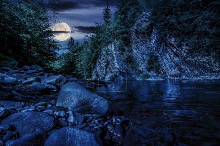 Sommerlandschaft bei Nacht. Ufer des Gebirgsflusses mit Steinen und Bäumen auf einer Klippe. wunderbare Landschaft im Vollmondlicht