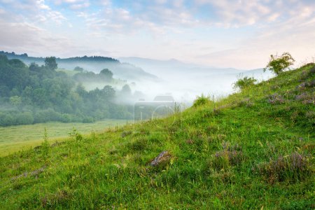 paisaje del campo de los carpatos en una mañana brumosa. paisaje rural montañoso de Ucrania con prados herbosos, colinas boscosas y valle brumoso en verano. nubes sobre las montañas