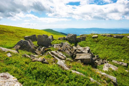 Téléchargez les photos : Collines alpines vertes et prairie de carpates. pierres au milieu de l'herbe sous un ciel avec des nuages. vacances d'été en montagne ukrainienne - en image libre de droit