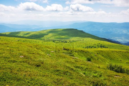 Téléchargez les photos : Magnifique paysage alpin de l'ukraine en été. nuages au-dessus des collines et des prairies verdoyantes des montagnes carpates par une journée ensoleillée - en image libre de droit