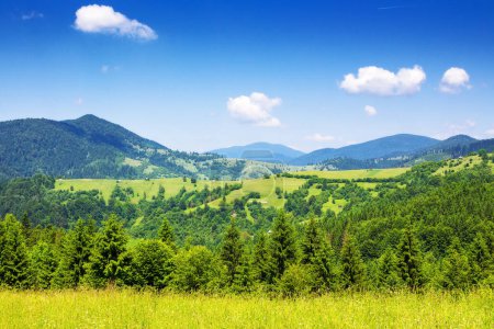 Téléchargez les photos : Paysage montagneux de campagne des carpates en été. épinette forêt haché herbe colline alpine. vacances d'été dans les hautes terres de l'ukraine. vue dans la zone rurale éloignée - en image libre de droit