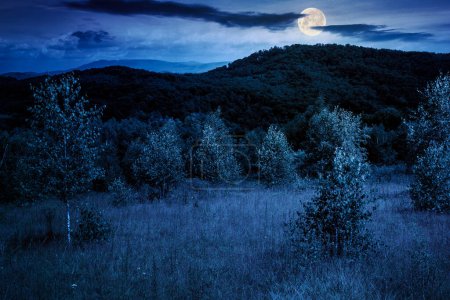 Téléchargez les photos : Arbres à feuilles caduques sur une prairie herbeuse la nuit. paysage carpatique magique en pleine lune - en image libre de droit