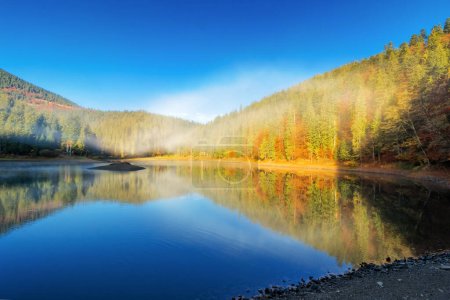 Téléchargez les photos : Paysage automnal de synevyr parc national avec lac. matin ensoleillé avec ciel bleu et brume au-dessus de la surface de l'eau. destination de voyage époustouflante des montagnes carpates, ukraine - en image libre de droit