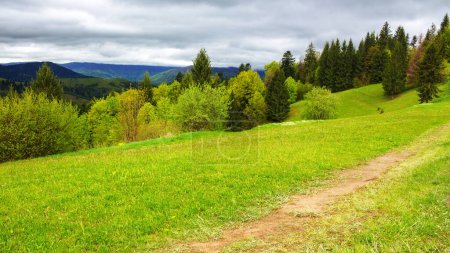 Téléchargez les photos : Chemin à travers la prairie herbeuse. collines boisées. paysage de campagne des carpates par une journée nuageuse au printemps - en image libre de droit
