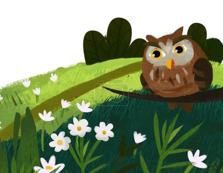 Photo for Cartoon scene with owl bird on the meadow illustration for children - Royalty Free Image