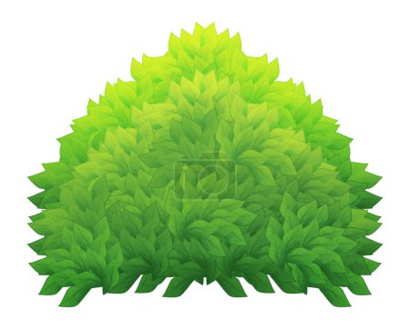 Téléchargez les photos : Dessin animé nature élément buissons et herbe isolé illustration - en image libre de droit
