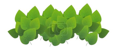 Téléchargez les photos : Dessin animé élément nature buissons et feuilles illustration isolée - en image libre de droit