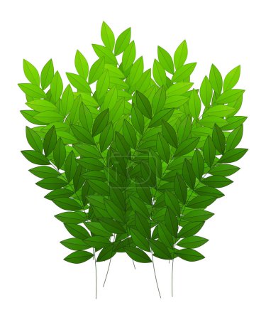 Photo for Cartoon nature element bushes and leafs isolated illustration - Royalty Free Image