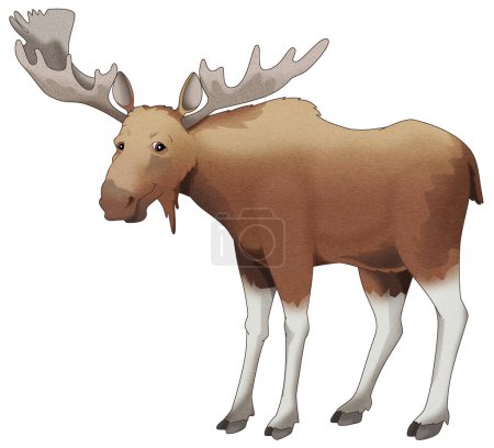 Photo for Cartoon scene with wild animal moose elk isolated illustration for kids - Royalty Free Image