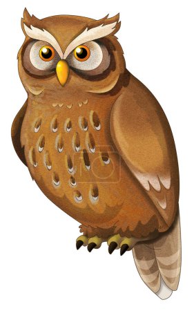 Photo for Cartoon wild animal wise forest owl sitting and looking isolated illustration for kids - Royalty Free Image