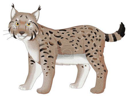 Téléchargez les photos : Dessin animé chat sauvage lynx illustration isolée pour les enfants - en image libre de droit