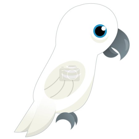 Téléchargez les photos : Dessin animé oiseau perroquet blanc sur fond blanc illustration pour les enfants - en image libre de droit