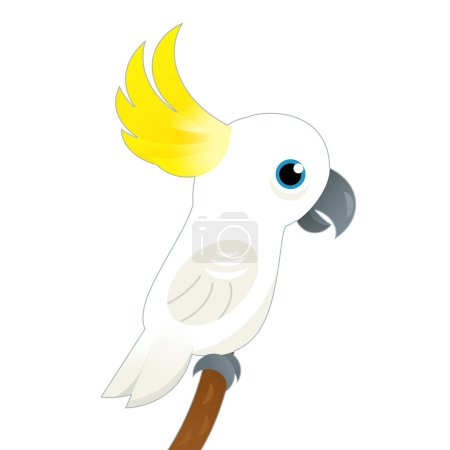 Téléchargez les photos : Dessin animé oiseau perroquet blanc sur fond blanc illustration pour les enfants - en image libre de droit