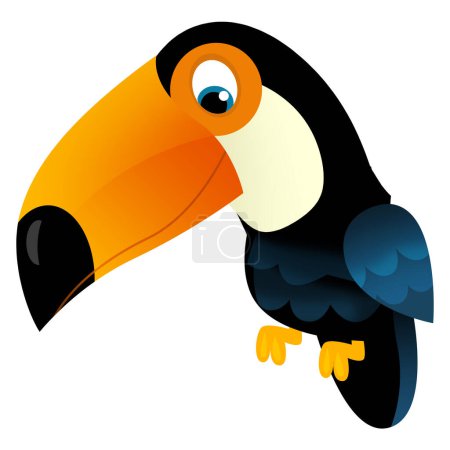 Téléchargez les photos : Dessin animé animal heureux oiseau tropical toucan sur fond blanc illustration pour les enfants - en image libre de droit