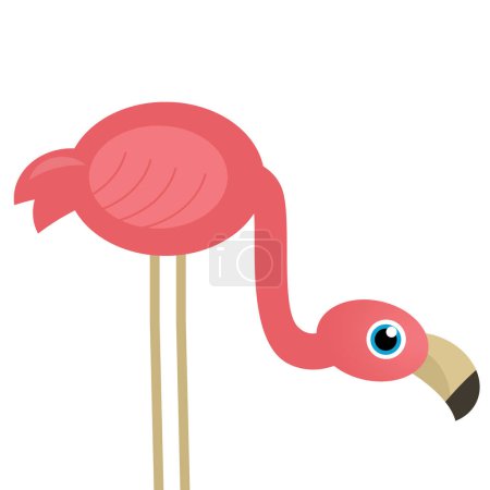 Téléchargez les photos : Dessin animé animal heureux oiseau tropical flamant rose sur fond blanc illustration pour les enfants - en image libre de droit