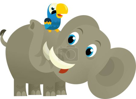 Téléchargez les photos : Dessin animé animal sauvage heureux jeune éléphant et perroquet sur fond blanc illustration pour les enfants - en image libre de droit