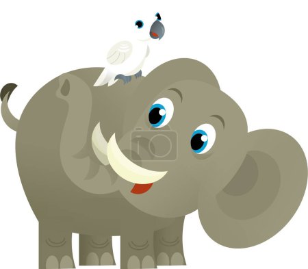 Foto de Dibujos animados animal salvaje feliz elefante joven y loro sobre fondo blanco - ilustración para los niños - Imagen libre de derechos