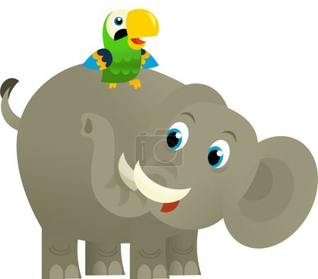 Photo for Cartoon wild animal happy young elephant and parrot on white background - illustration for the kids - Royalty Free Image