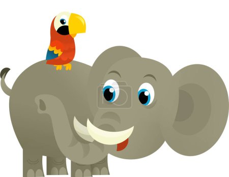Téléchargez les photos : Dessin animé animal sauvage heureux jeune éléphant et perroquet sur fond blanc illustration pour les enfants - en image libre de droit