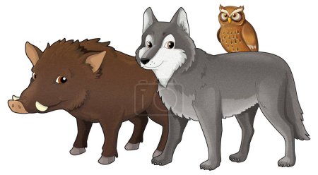 Téléchargez les photos : Dessin animé loup sauvage ou chien sanglier et hibou illustration isolée pour enfants - en image libre de droit