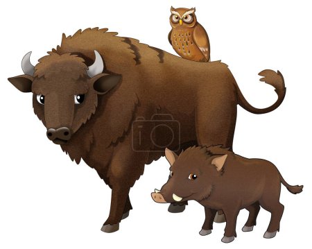 Photo for Cartoon wild animal bison aurochs and boar  isolated illustration for kids - Royalty Free Image