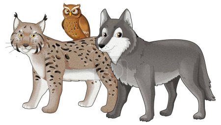Foto de Dibujos animados lobo animal salvaje o perro y lince gato salvaje ilustración aislada para niños - Imagen libre de derechos