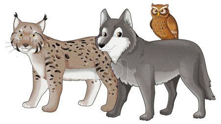 Téléchargez les photos : Dessin animé loup ou chien sauvage et lynx chat sauvage illustration isolée pour les enfants - en image libre de droit