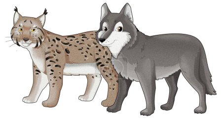 Téléchargez les photos : Dessin animé loup ou chien sauvage et lynx chat sauvage illustration isolée pour les enfants - en image libre de droit