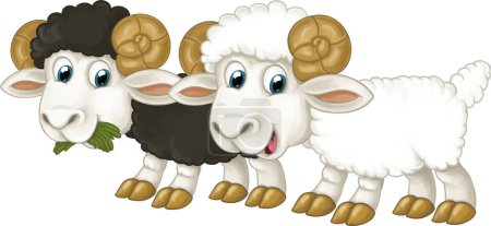 Téléchargez les photos : Dessin animé heureux animal de ferme joyeuse paire de moutons illustration isolée pour les enfants - en image libre de droit