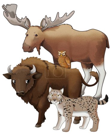 Téléchargez les photos : Dessin animé animaux sauvages bison aurochs et lynx illustration isolée pour les enfants - en image libre de droit