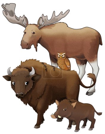 Téléchargez les photos : Dessin animé animaux sauvages bison aurochs et sanglier illustration isolée pour les enfants - en image libre de droit