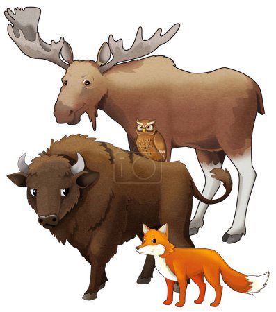Téléchargez les photos : Dessin animé animal sauvage bison aurochs et renard illustration isolée pour les enfants - en image libre de droit