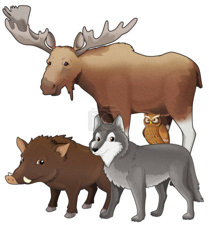 Photo for Cartoon wild animal wolf or dog wild boar and owl with moose isolated illustration for children - Royalty Free Image