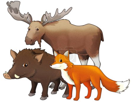 Photo for Cartoon wild animal wolf or dog happy fox and owl with moose isolated illustration for children - Royalty Free Image