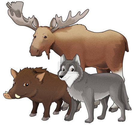 Photo for Cartoon wild animal wolf or dog wild boar and owl with moose isolated illustration for children - Royalty Free Image