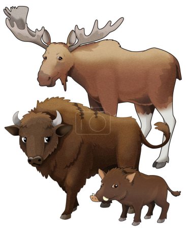 Téléchargez les photos : Dessin animé animaux sauvages bison aurochs et sanglier avec orignal illustration isolée pour les enfants - en image libre de droit