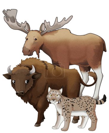 Téléchargez les photos : Dessin animé animaux sauvages bison aurochs et lynx avec orignal illustration isolée pour les enfants - en image libre de droit