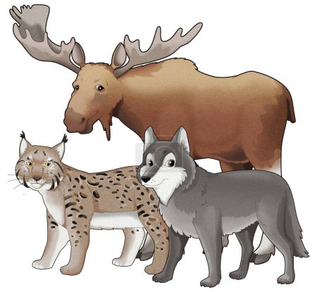 Photo for Cartoon wild animal wolf or dog and wild cat lynx with moose isolated illustration for children - Royalty Free Image
