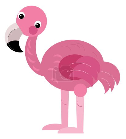 Photo for Cartoon animal bird flamingo on white background illustration - Royalty Free Image