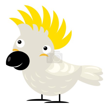 Téléchargez les photos : Dessin animé asiatique animal oiseau cacatoès zoo isolé illustration pour les enfants - en image libre de droit