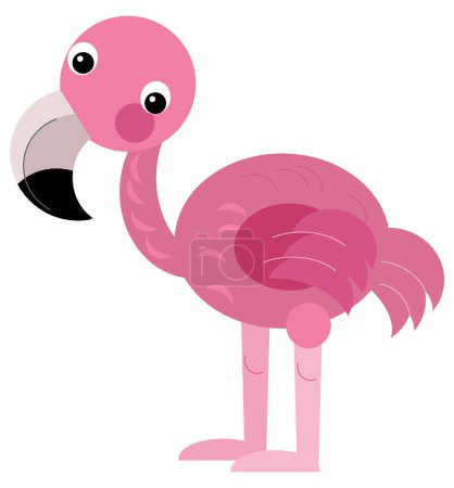 Téléchargez les photos : Dessin animé animal heureux oiseau tropical flamant rose illustration isolée pour les enfants - en image libre de droit