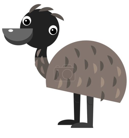 Foto de Dibujos animados australiano animal emu sobre fondo blanco ilustración para niños - Imagen libre de derechos
